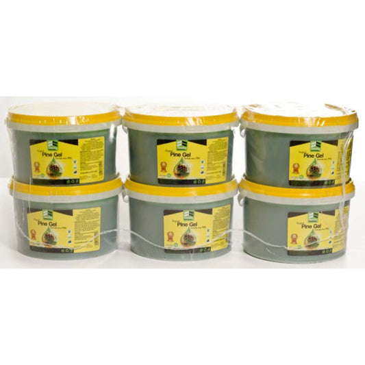 Pine Gel 2L x 6