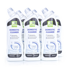 Domestic Cleaner 750ML x 6