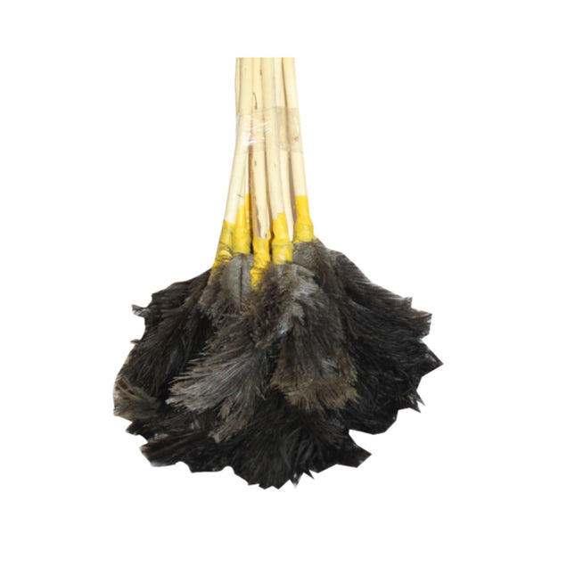Feather Duster Long x 10