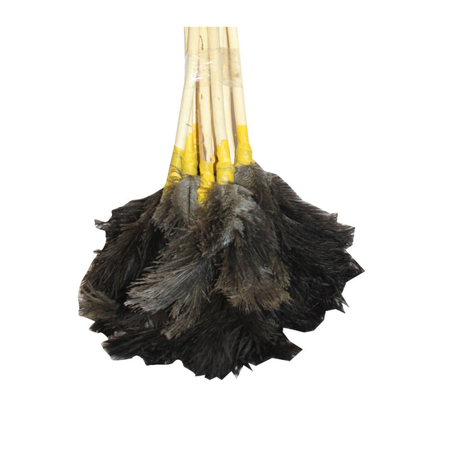 Feather Duster Short x 10