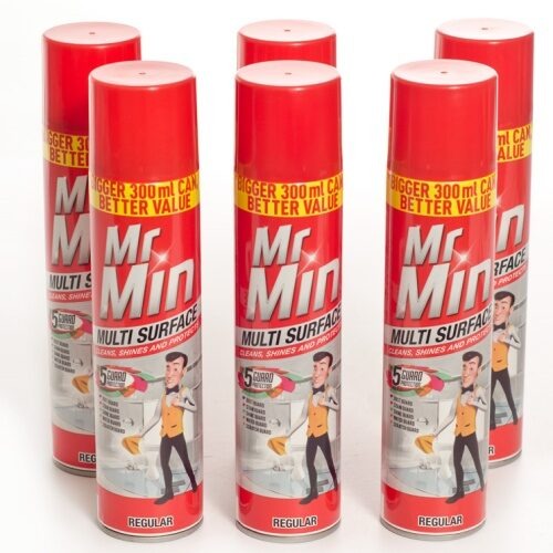 Mr Min Multi-Surface Regular 300ML - Bulk Haven
