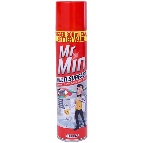 Mr Min Multi-Surface Regular 300ML - Bulk Haven