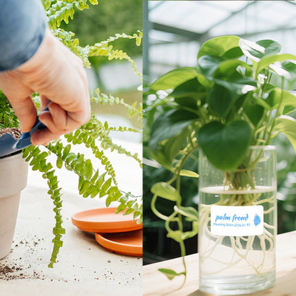 NB610 - NIIMBOT - M3 - PORTABLE BLUETOOTH THERMAL TRANSFER LABEL PRINTER - INCL FREE LABEL ROLL