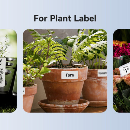 NB589 - NIIMBOT - MODEL: M2_H - THERMAL TRANSFER BLUETOOTH LABEL PRINTER - 300DPI - INCLUDING BLACK RIBBON CARTRIDGE & 50*30MM LABEL ROLL